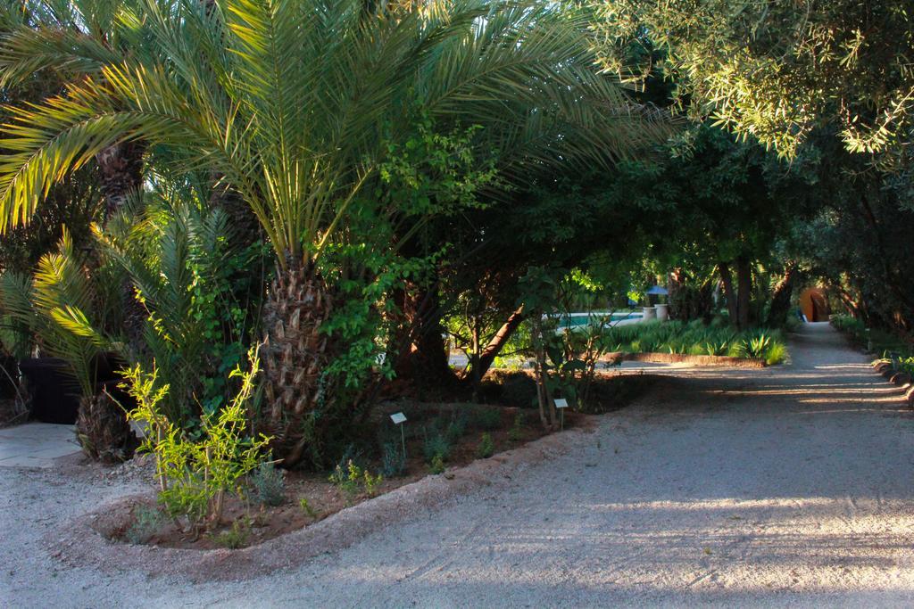 Jnane Tamsna Hotel Marrakesh Exterior photo
